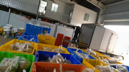 专访全佳方信农产品供应链杨超 生鲜配送的危与机,抓主放辅