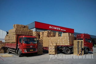 物流工偷京东商品充彩礼 赃物献给丈母娘