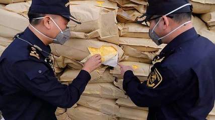 冰鲜橙子进口报关代理公司行业焦点,报关代理服务