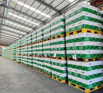 东莞仓库招租 快消品仓储/进出口集货/仓配一体/商超配送