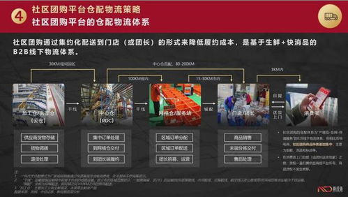重磅 2020 2021年快消品社区团购平台合作执行指导 完整版发布