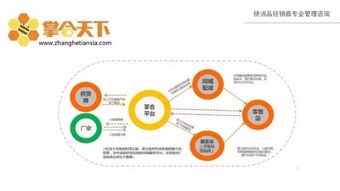 一文带你看尽国内主流的快消b2b商业模式图