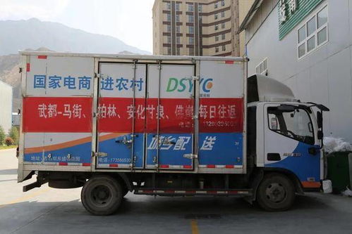 武都 打通 最后一公里 构建城乡高效配送体系