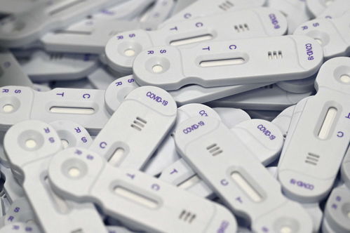 早报 新冠抗原自测产品获批上市 iphone 14 或采用旧芯片 b 站回应用户卖隐私换会员质疑