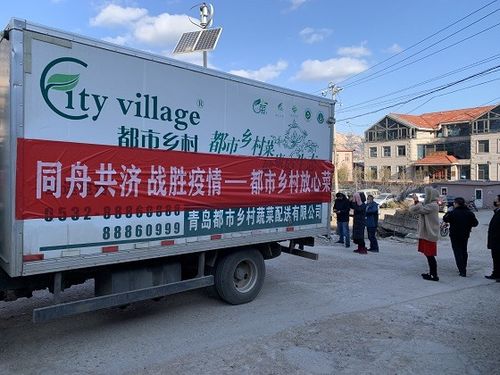 青岛市商务局推动菜篮子商品电商配送与进社区活动,助力快消品高效流通