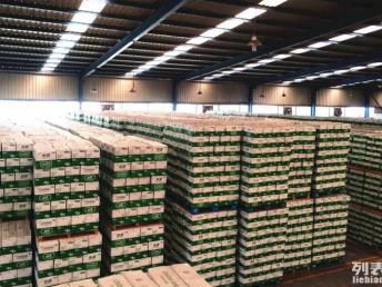 深圳专业食品快消品配送 物流高效驱动商业成功