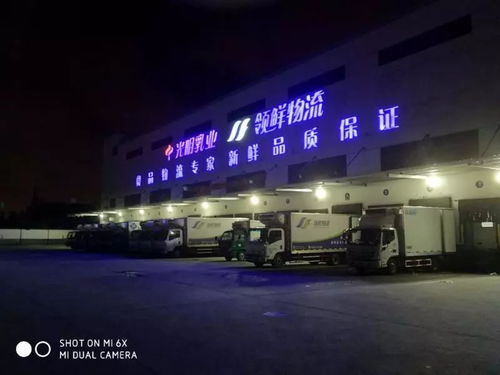 夏日“逆行者” 高温下的低温工作者，解码快消品配送的“冰与火”之歌